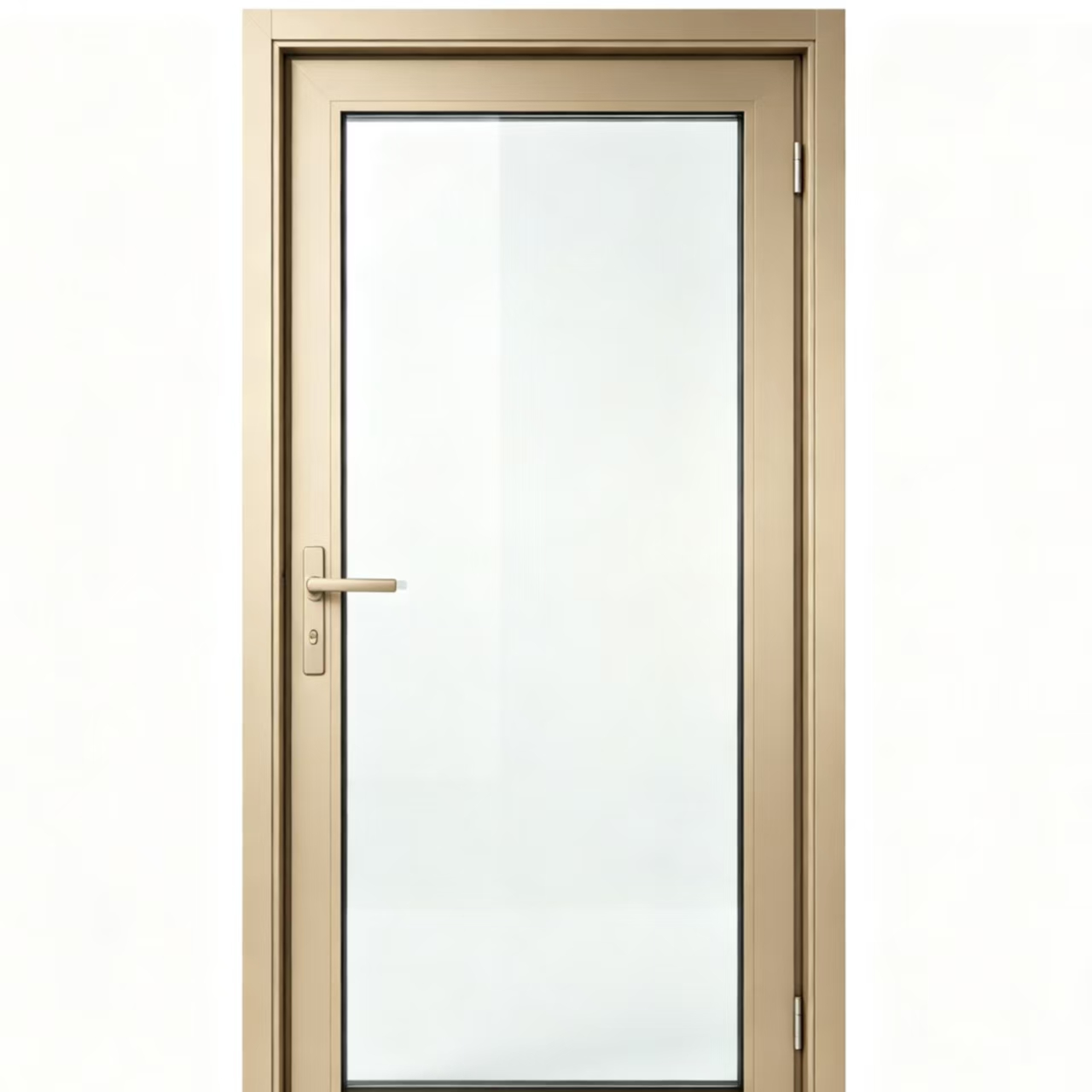 Aluminum Glass Swing Door