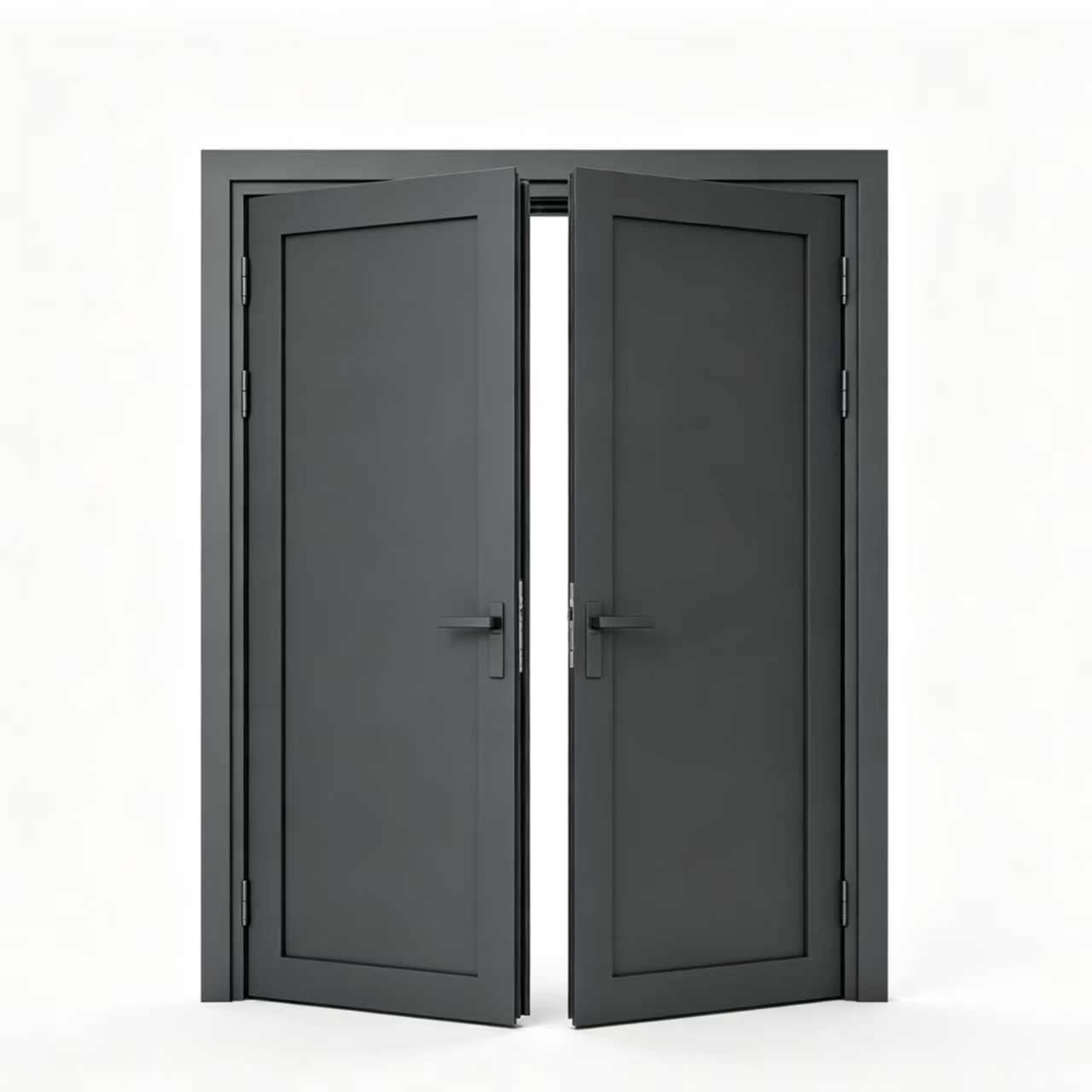 Double Swing Aluminum Door