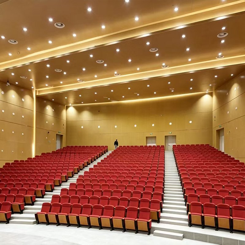 Shenzhen Pinghu Hospital Conference Hall